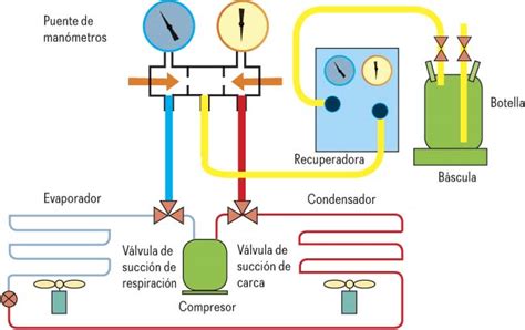 Esquema de conexión para la recuperación de refrigerante en fase vapor