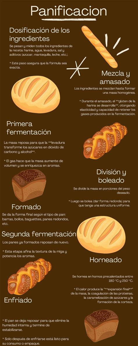 Infografía: Proceso de horneado de cupcakes