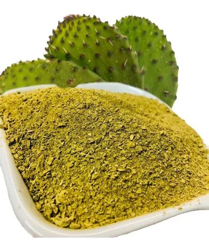 Fotografía macro de la textura del polvo de nopal procesado