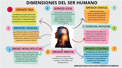 Esquema de las dimensiones y distribución de volúmenes del Fiat Siena (carrocería sedán de tres volúmenes).