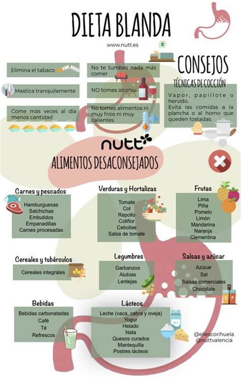Esquema sobre la función de la dieta blanda en la reducción del trabajo gastrointestinal