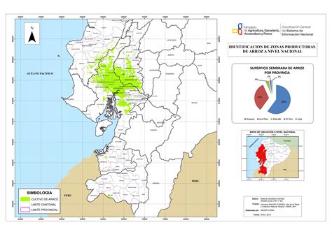 Mapa global de zonas productoras de arroz que requieren nivelación