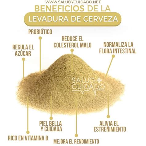 Infografía detallando los componentes nutricionales de la levadura de cerveza y sus beneficios.