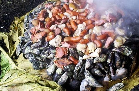 Esquema ilustrativo de la disposición en capas de los ingredientes en un curanto al hoyo tradicional: piedras calientes, mariscos, carnes y hojas de pangue.
