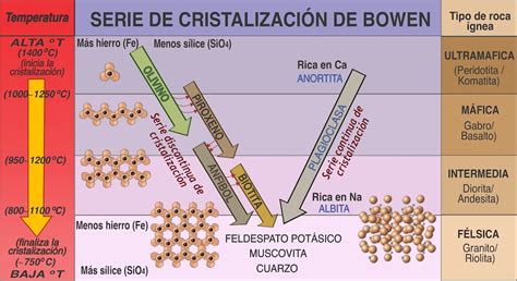 Gráfico mostrando las diferentes formas de cristalización de la manteca de cacao