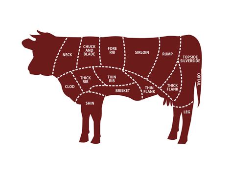 Esquema de las diferentes partes de la vaca con los cortes específicos recomendados para guisos y estofados.
