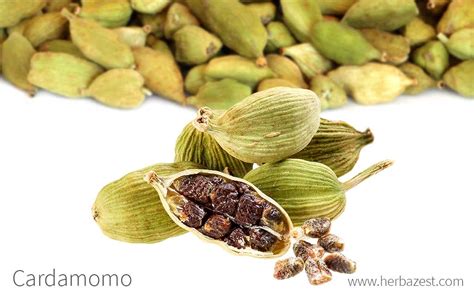 Imagen de semillas de cardamomo en vainas y cardamomo molido en un mortero.