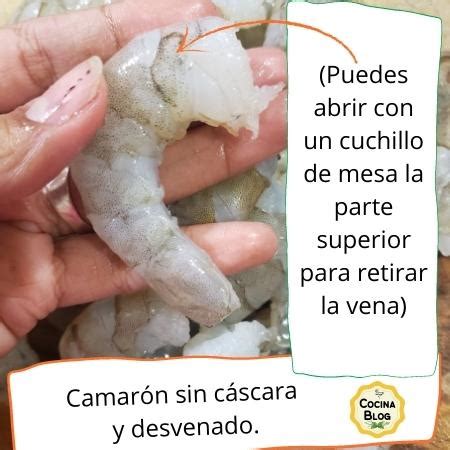 Esquema visual que muestra los pasos para limpiar y desvenar un camarón correctamente