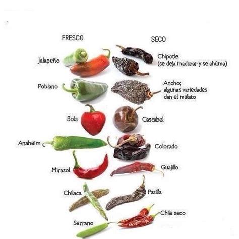Selección de ajíes frescos y secos de diversas variedades.