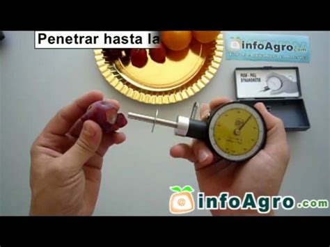Diagrama de un penetrómetro de mano midiendo la firmeza de una manzana.