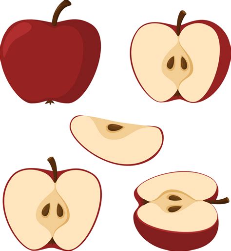 Ilustración de la prueba de almidón-yodo en una manzana cortada, mostrando las áreas coloreadas y no coloreadas.