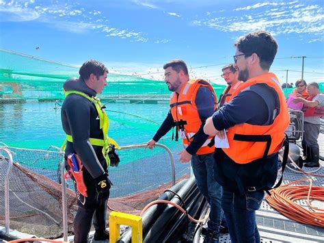 Personal de Sernapesca realizando inspecciones en un centro de cultivo de salmones