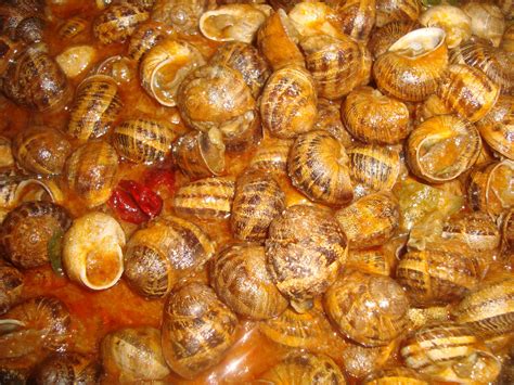 Ingredientes frescos para caracoles en salsa
