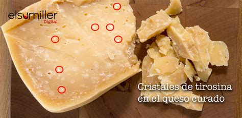 infografía comparativa de cristales de tirosina y lactato cálcico en quesos