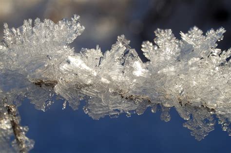 Fotografía macro de cristales de hielo en un helado, ilustrando la cristalización.