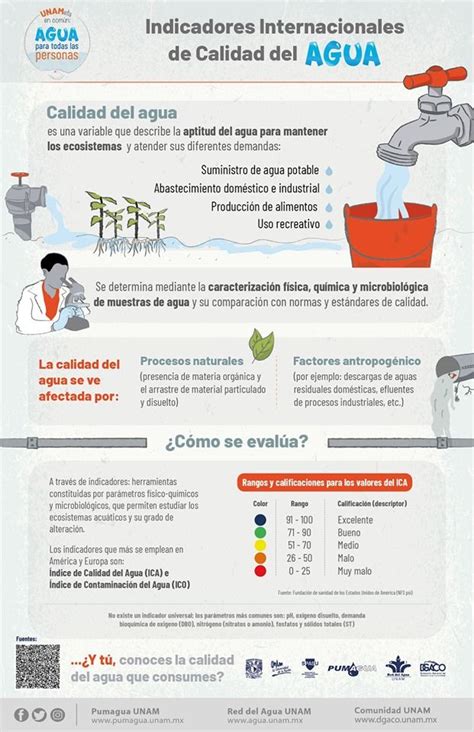 infografía sobre los parámetros de calidad del agua para aves (pH, TDS, cloro, etc.) y sus efectos.