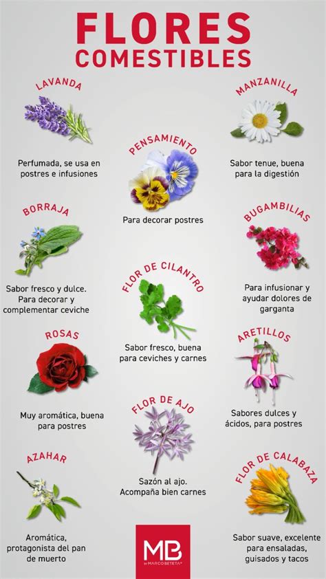 Infografía que muestra una selección de plantas y flores rojas comestibles con sus nombres comunes y sus principales aplicaciones en la cocina.