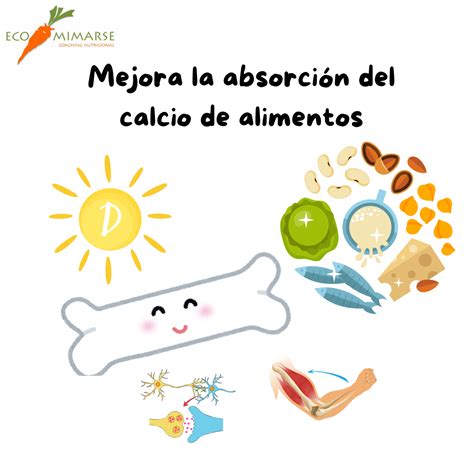 Infografía comparativa de la absorción de calcio entre el yogur y otros alimentos