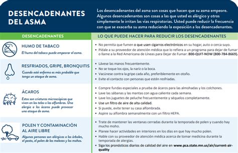 infografía sobre los desencadenantes comunes del asma y cómo evitarlos