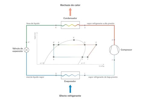 Esquema detallado de la organización interna de un frigorífico, destacando la ubicación de las parrillas y la circulación de aire frío.