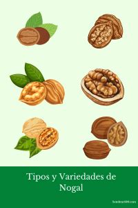 Tabla comparativa de variedades de nogal y sus características