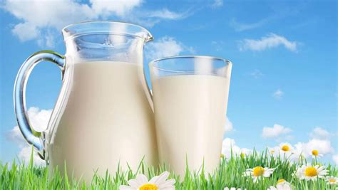 Infografía comparativa de los nutrientes presentes en la leche de oveja frente a la leche de vaca tradicional