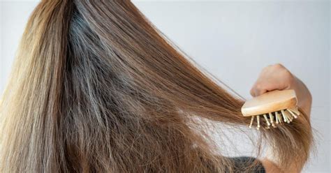 Ilustración de diferentes tipos de cabello mostrando problemas como falta de brillo y frizz.