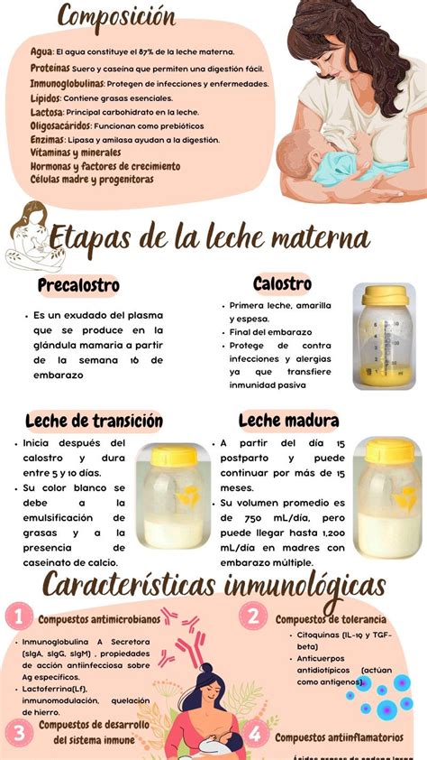 Esquema de progresión alimentaria: desde la leche materna/fórmula a la dieta sólida variada