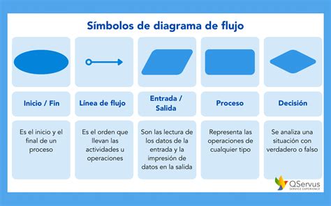 Esquema visual que muestra las 6 etapas del proceso de curación del jamón, desde la selección en granja hasta el envasado final.