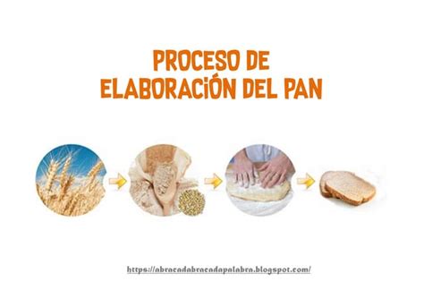 Esquema visual de las etapas de elaboración del pan