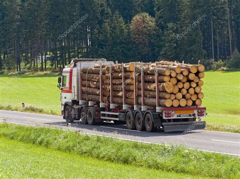 Tala y transporte de troncos de madera en un bosque gestionado