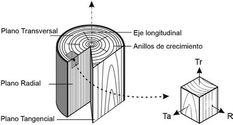 Diagrama comparativo de los métodos de corte tangencial, radial y transversal de un tronco de madera