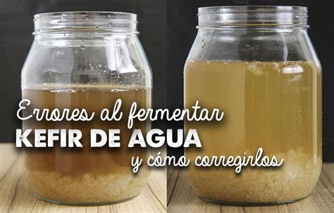 Fotografía de un frasco de vidrio con kéfir de agua fermentando, mostrando los nódulos y burbujas