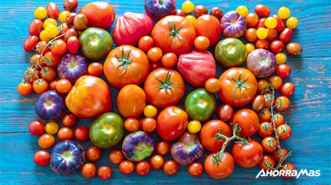 Variedad de tomates cherry de diferentes colores, listos para ser cortados por la mitad.