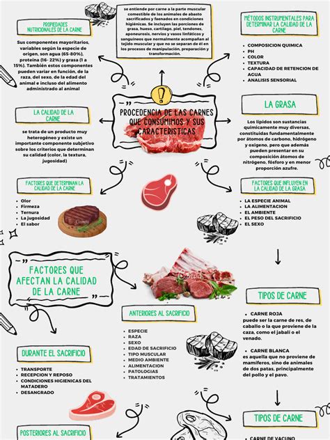 Infografía: Clasificación de las carnes frías más comunes (jamones, salchichas, embutidos y chorizos) con sus texturas y usos ideales.