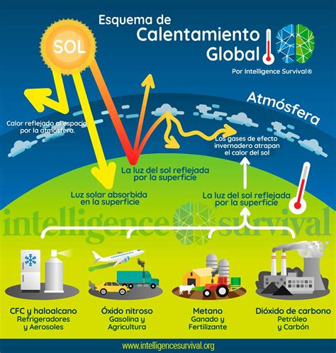 Infografía o esquema sobre cómo la ganadería intensiva contribuye al calentamiento global
