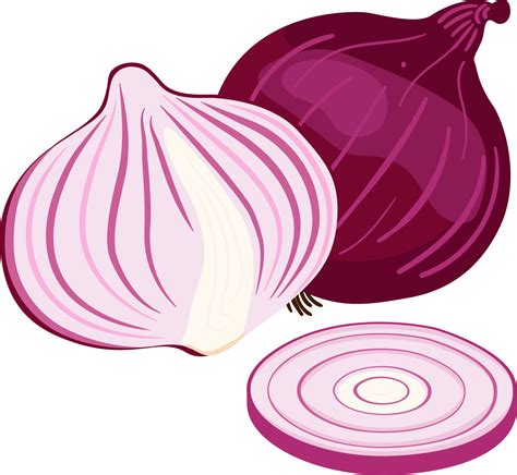 Ilustración de cebolla roja con su interior blanquecino y matices púrpuras