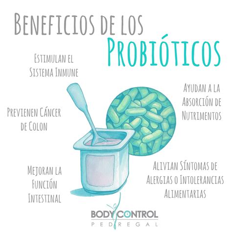 Infografía: Beneficios de los probióticos para la salud