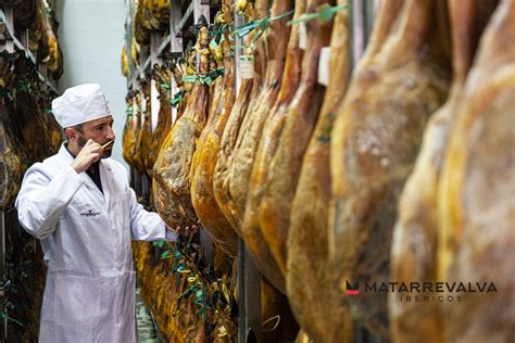 Infografía del proceso de curación del jamón: de la salazón a la bodega