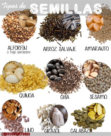 infografía sobre los diferentes tipos de granos y semillas que se convierten en harina: cereales, legumbres y frutos secos