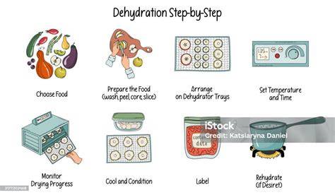 Infografía del proceso de deshidratación de alimentos
