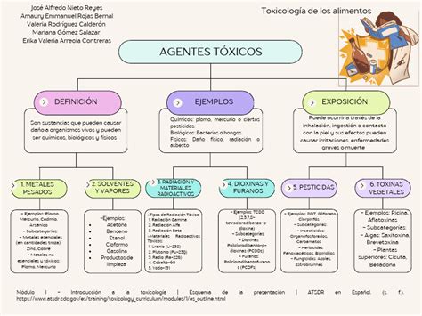 Esquema de la liberación de tóxicos desde utensilios de cocina a alimentos
