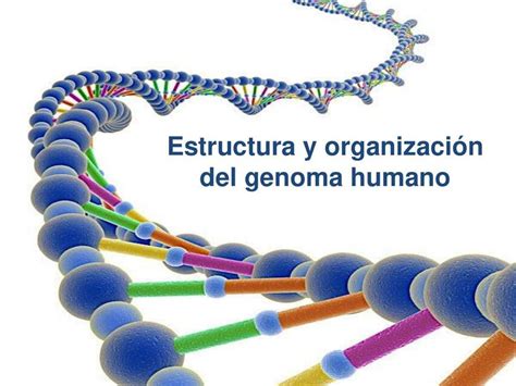 Representación científica de la estructura del genoma de la piña