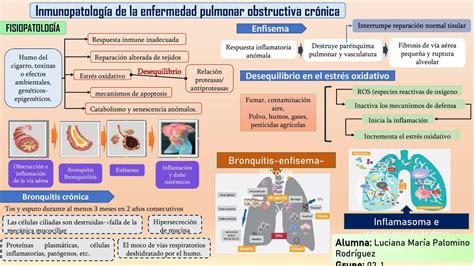 Esquema de la fisiopatología de la APLV y el impacto en el desarrollo nutricional del lactante