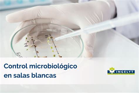 Esquema de las principales etapas de control microbiológico en el cultivo y postcosecha de fresas