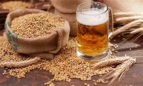 Esquema de las propiedades nutricionales de la levadura de cerveza, destacando vitaminas del grupo B, minerales y proteínas