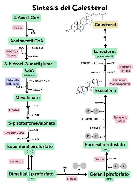 Esquema de la ruta de síntesis Nagai para la metanfetamina