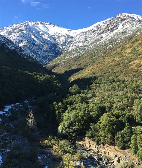 Fotografía de un sendero en Peñalolén con vegetación nativa y vistas a las montañas.