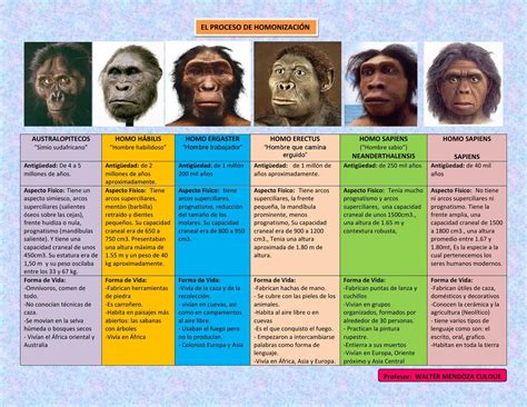 Esquema comparativo: Evolución desde el edificio original con techo rojo hasta la simplificación del logo en 1967.