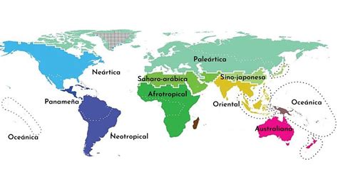 Mapa mundial mostrando las principales regiones y sus estilos de pizza